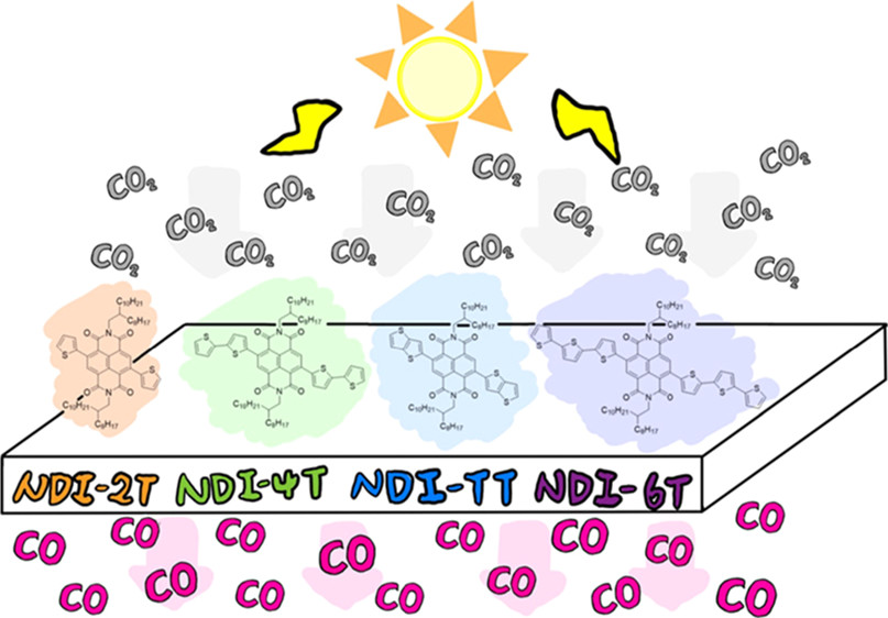 Graphical abstract